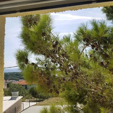 Apartmán Monika *
